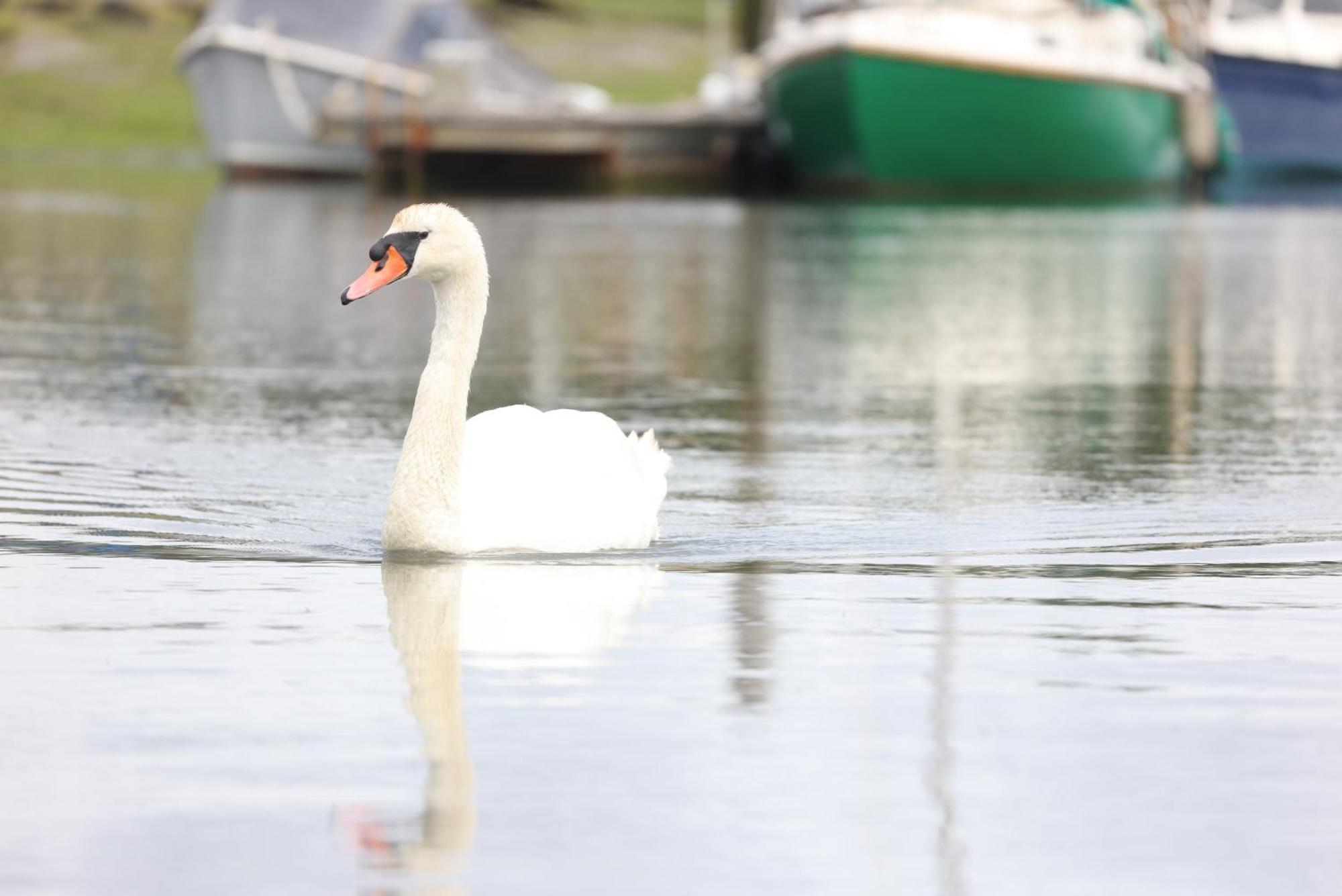 Mercury Yacht Harbour And Holiday Park Bursledon Екстер'єр фото